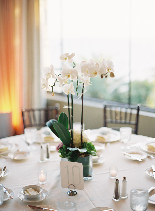Potted Orchids Reception Centerpiece Elizabeth Anne Designs The