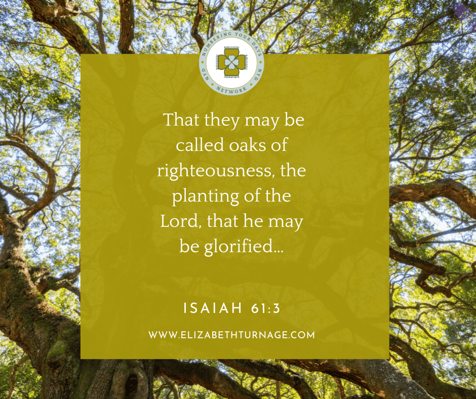 A Prayer about an Oak of Righteousness Elizabeth Turnage
