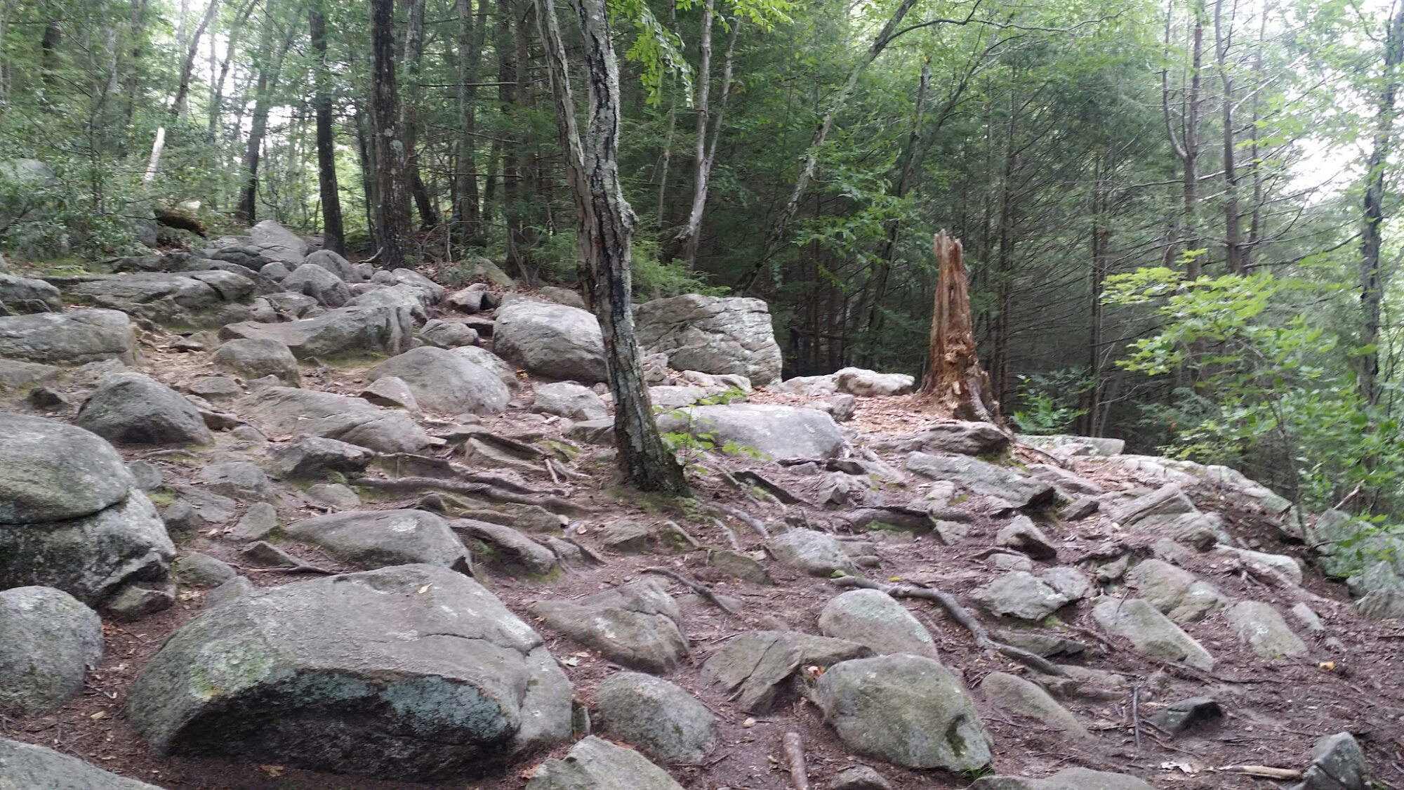 Ella's Trails Blackstone Blackstone, MA Hiking, Biking