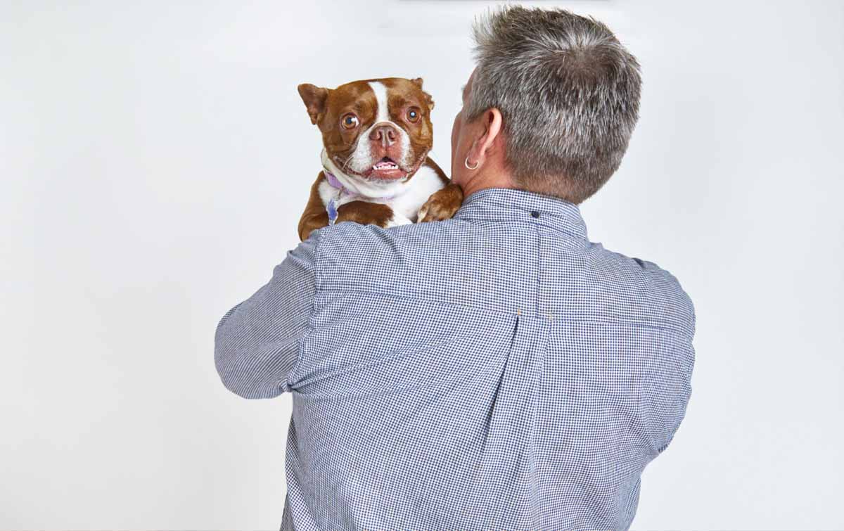 How to prepare for bringing your dog to work ElleVet Sciences