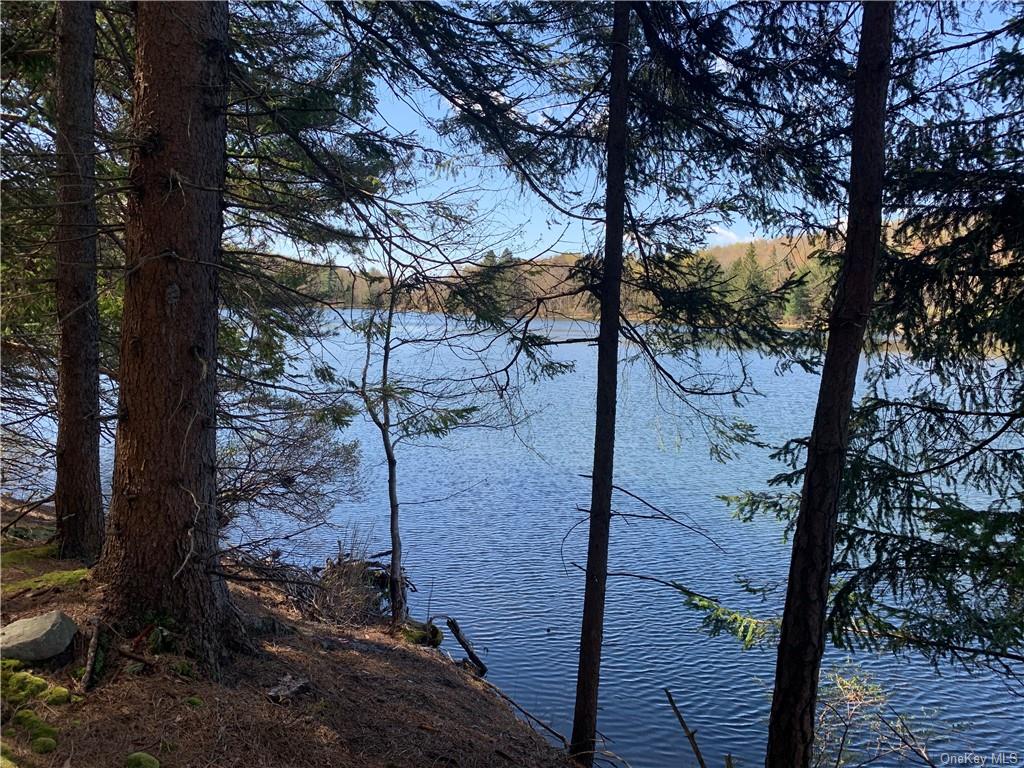 Home Elliott & Pomeroy Real Estate