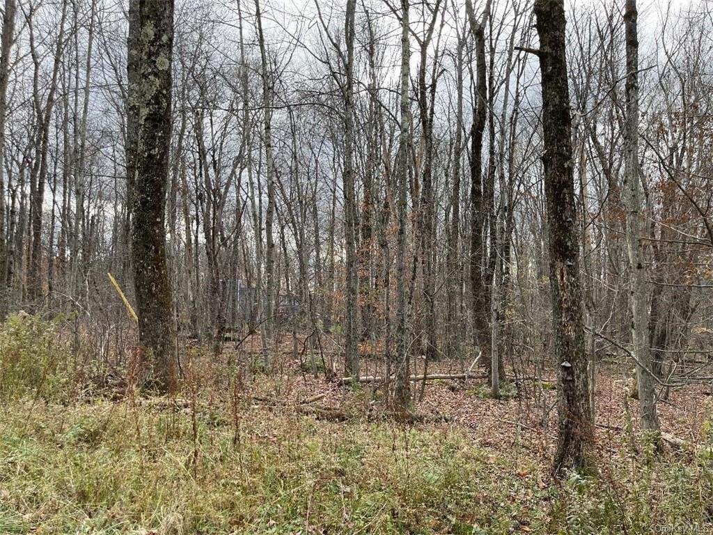 Home Elliott & Pomeroy Real Estate