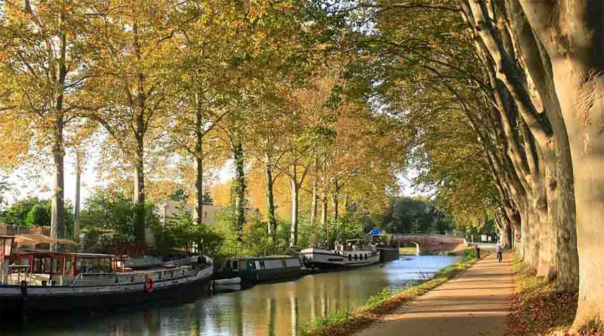 Dell Customer Service Contact Support Via Phone Email Exec Contacts