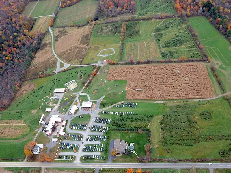 FamilyFriendly Fall Things to Do in Saratoga Ellms Farm