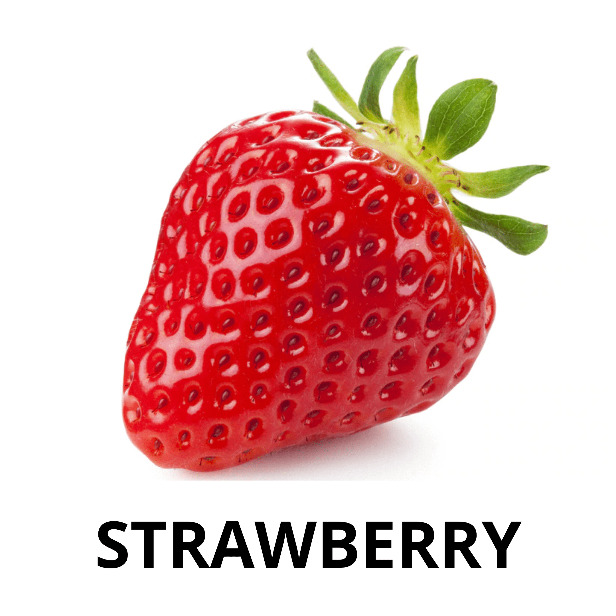 Teaching Vocabulary Fruits Lesson Plans ELL'S CLASS