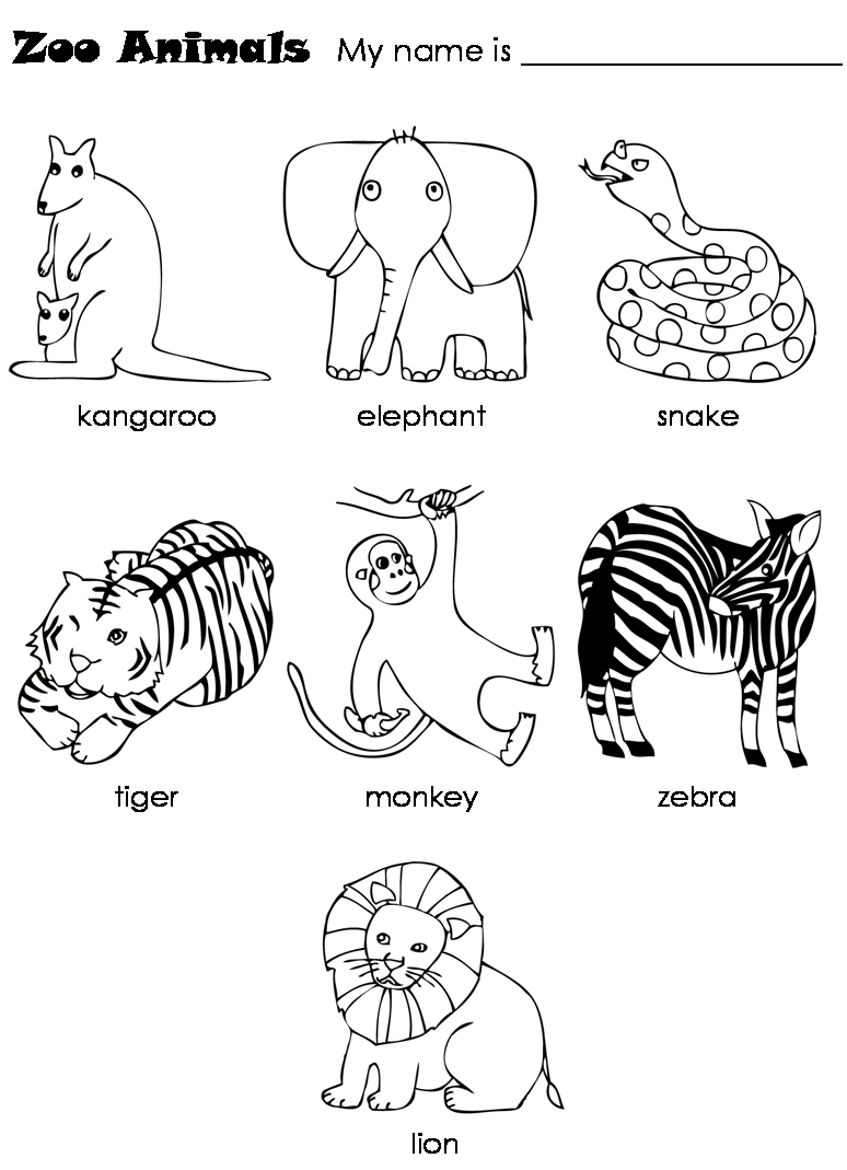 Lesson Plan Zoo Animals Lesson Plans ELL'S CLASS