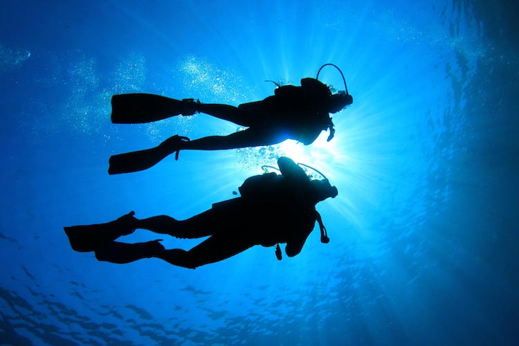 PADI Open Water Diver Manual-2015 Edition eBay