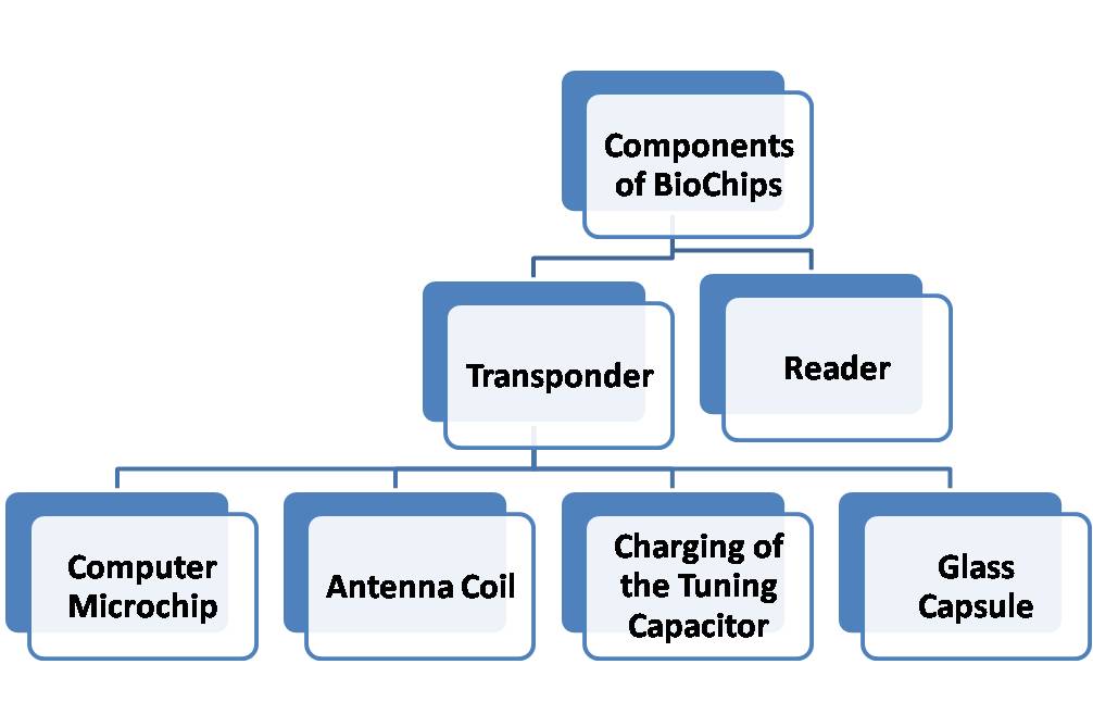 What is a Biochip? Working Principle, Types of Biochips & Applications