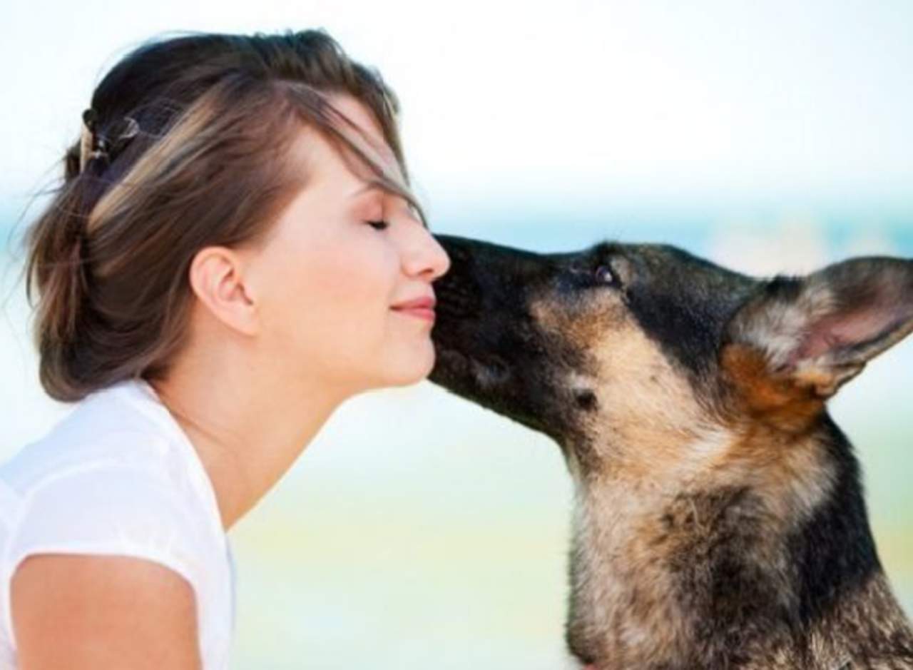 Debes evitar que tu perro te lama la cara, El Siglo de Torreón