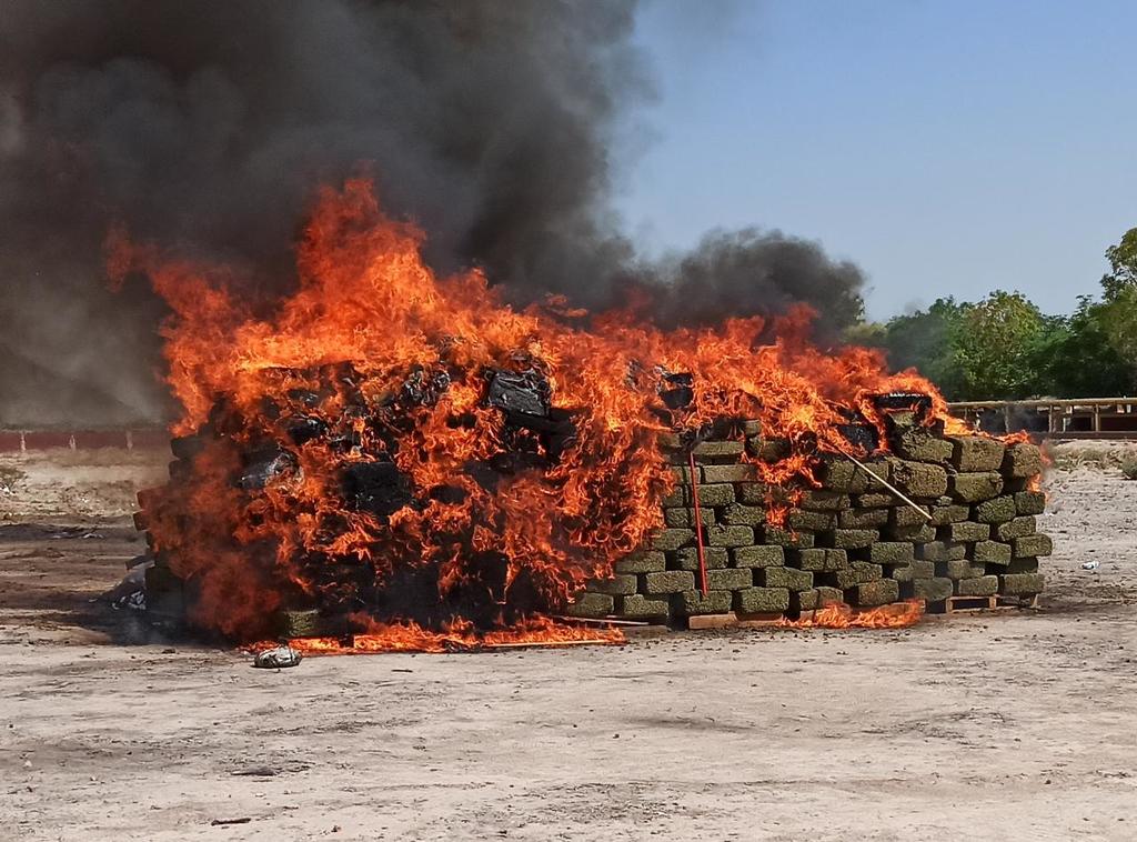 Incineran más de cinco toneladas de marihuana en Coahuila