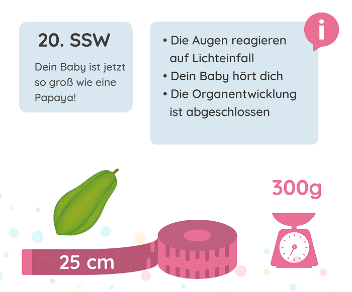 Schwangerschaftswoche 20 / 20. Wochen schwanger