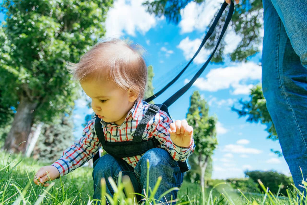 Kinderleine Darf man Kinder an der Leine führen?