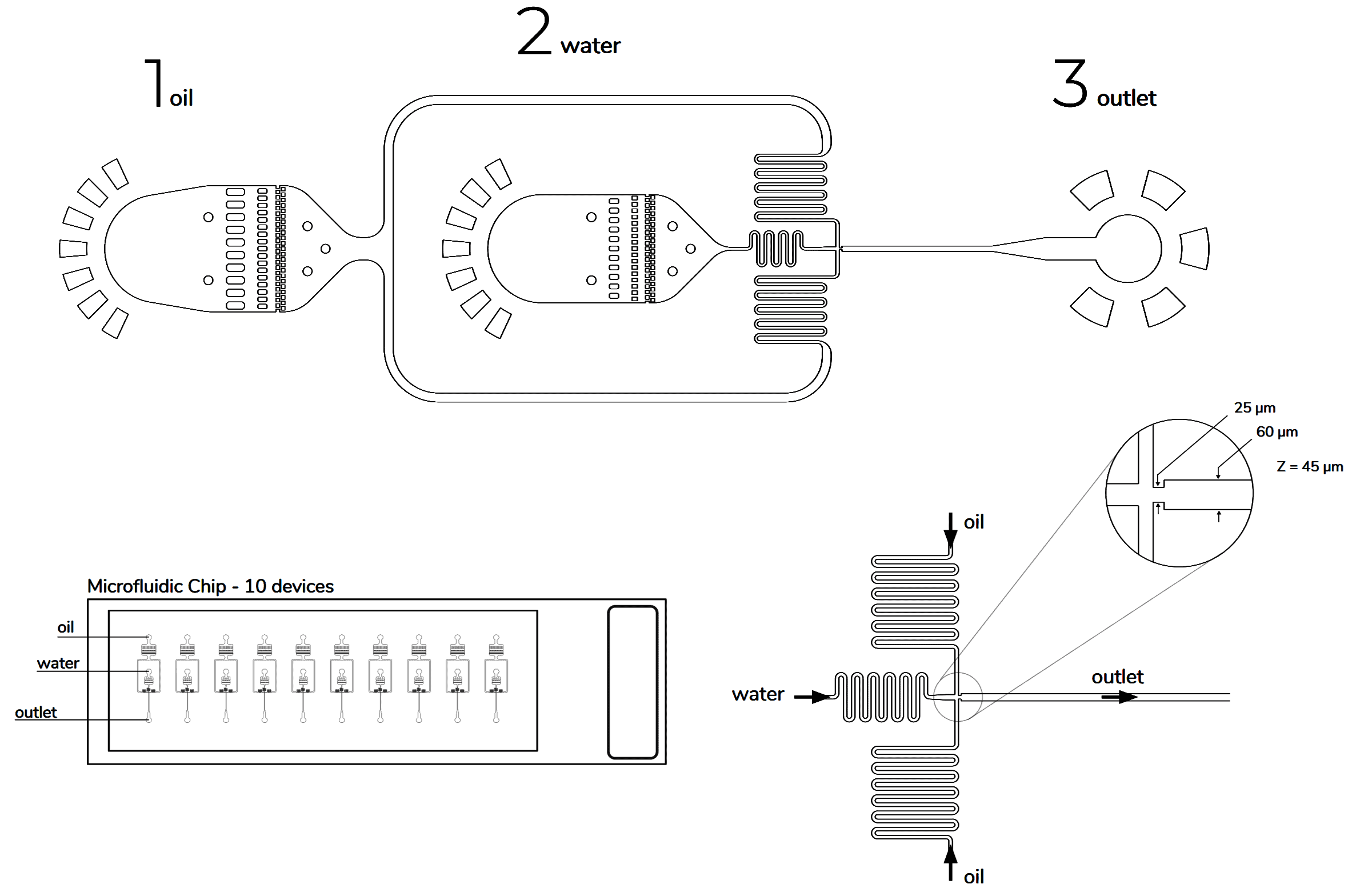 Single cell encapsulation application note Elveflow