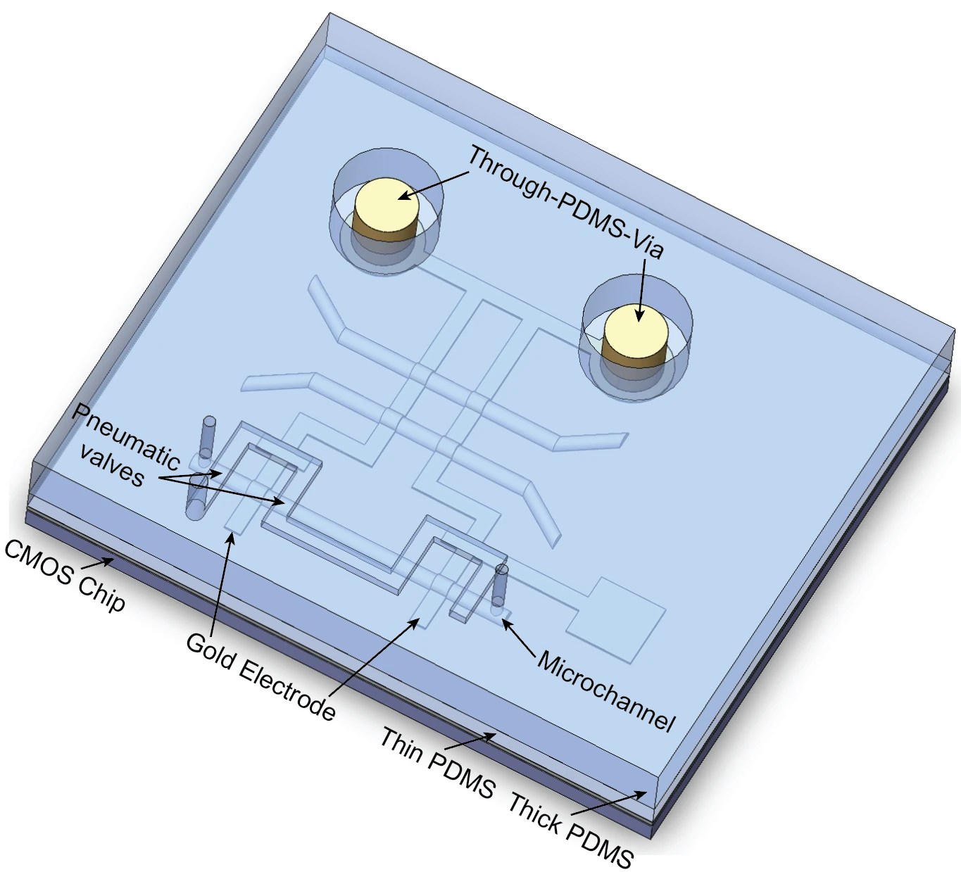 Reference electrode design for onchip biochemical sensing Elveflow