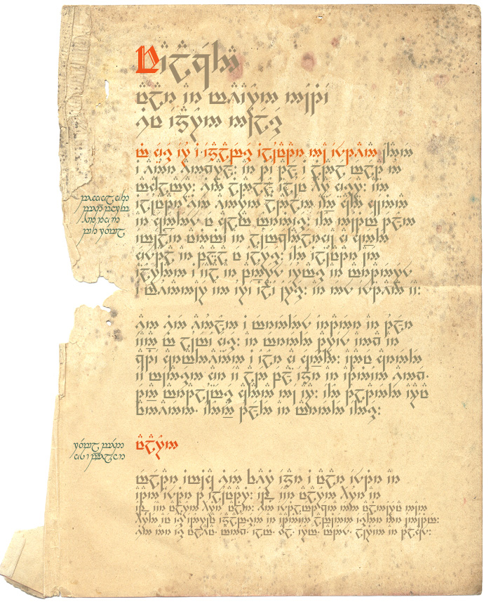 translate elvish from image
