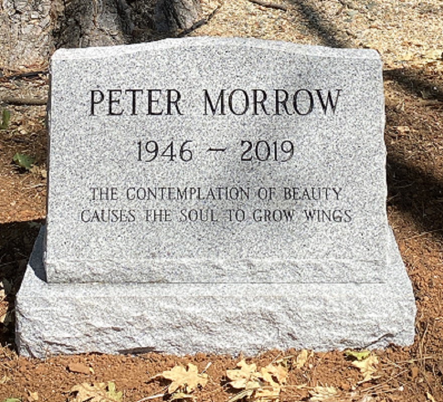 Peter Morrow The Elysian Society