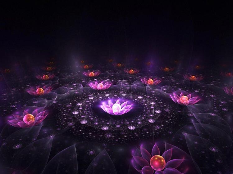 Flowers email stationery (stationary) Magic Flower