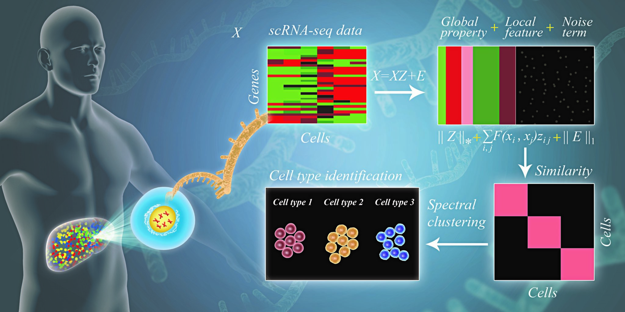 Bioinformatics EMBS