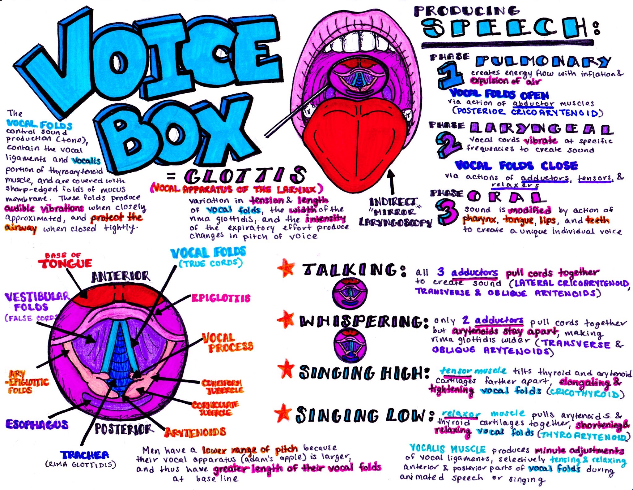 Emergency Medicine EducationVoiceBox
