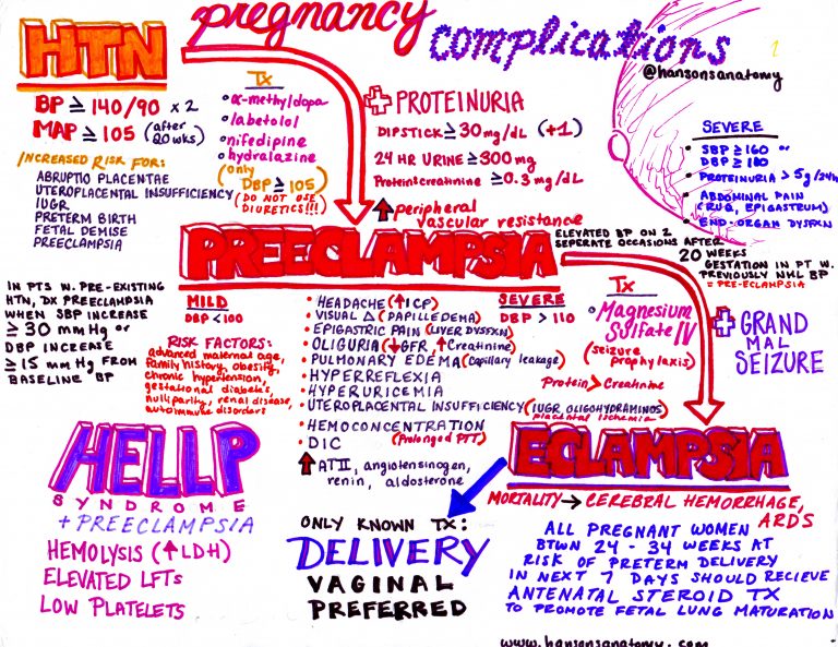 Emergency Medicine EducationEclampsia in the ED Presentation, Differential