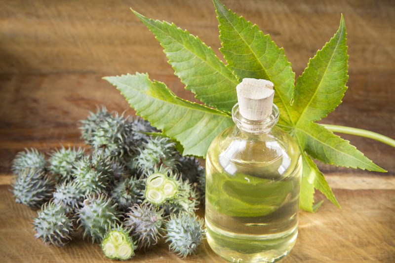 Rizinusöl: Wirkung und Anwendung der Heilpflanze | eMEDI