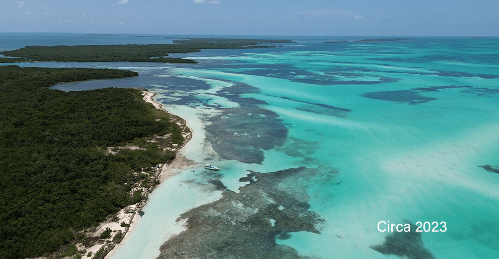Frenchman's Caye Emerald Futures Real Estate