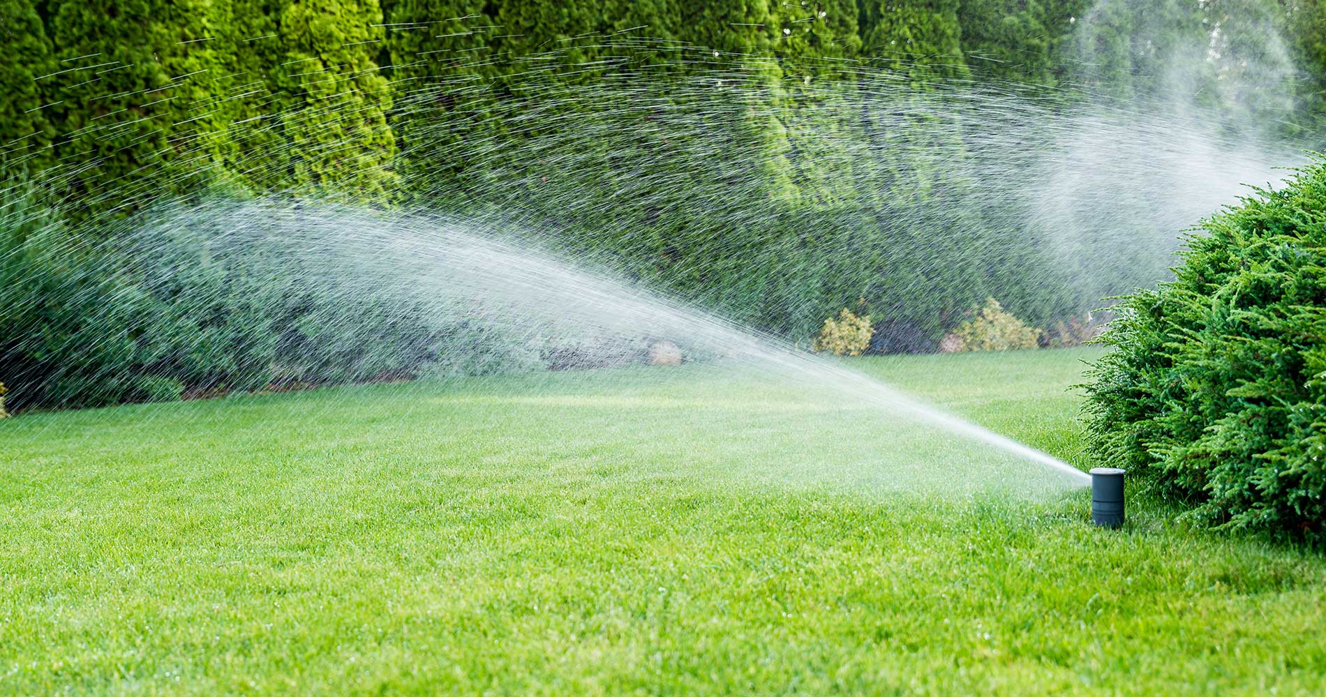Reliable Irrigation Systems Emerald Irrigation & Landscape Construction