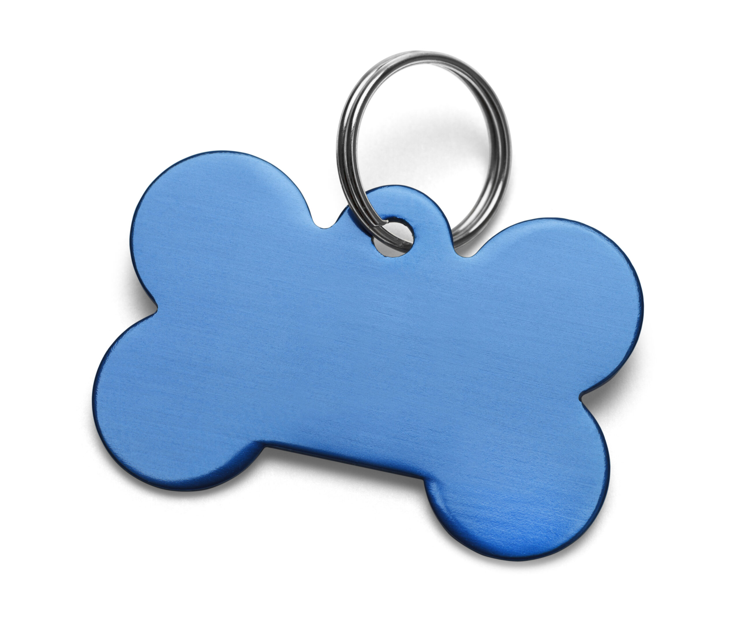 Custom engraved Pet ID Bone Shape Blue Tag Emergency ID Australia