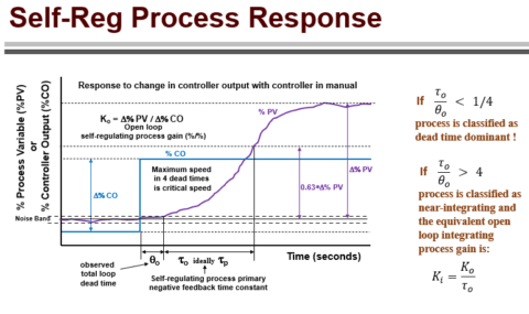 Control Strategies for Process Dynamic Responses