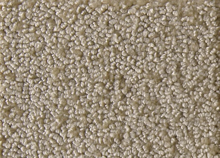 Dante Emery Park Carpet Company