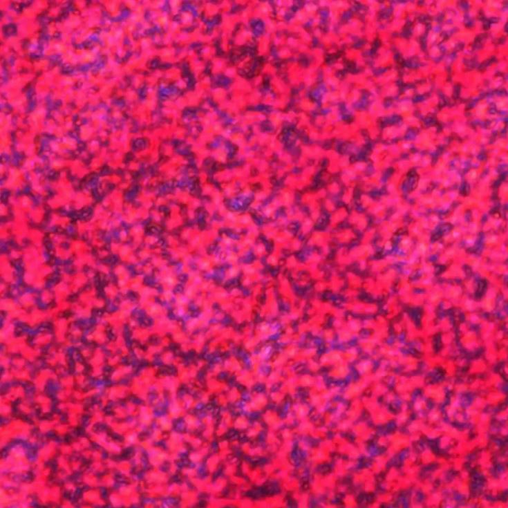 Neutral Red 25g Emgrid Australia +61 (8) 8250 3687