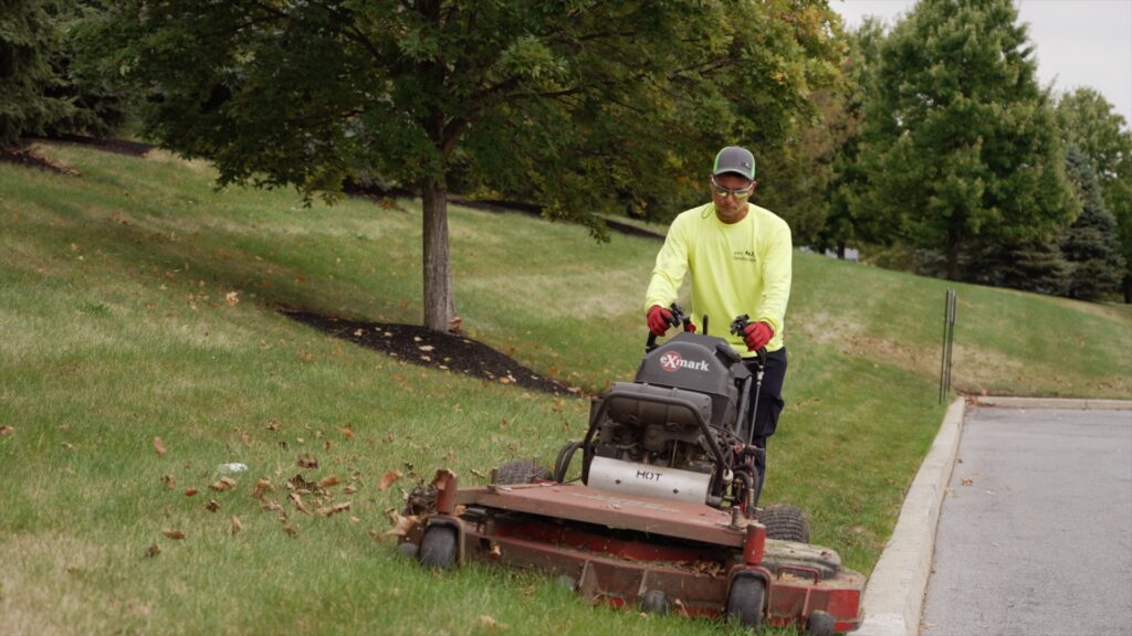 Fall Cleanup The emi Way EMI Landscape