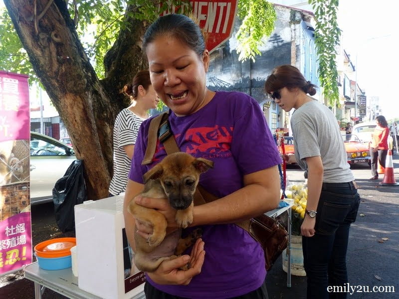 Puppies For Adoption In Garden Grove Clear The Shelters Everybody
