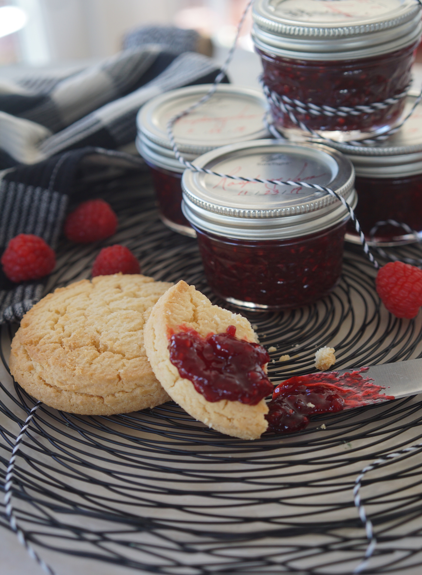 Raspberry Jam Emily Ellyn