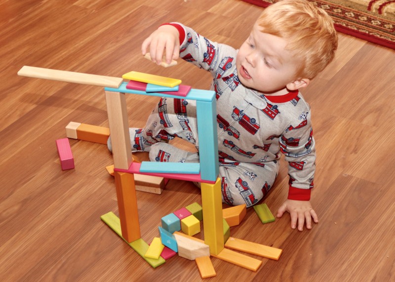 Tegu Building Blocks {Fun for ages 1 to 99!} Emily Reviews
