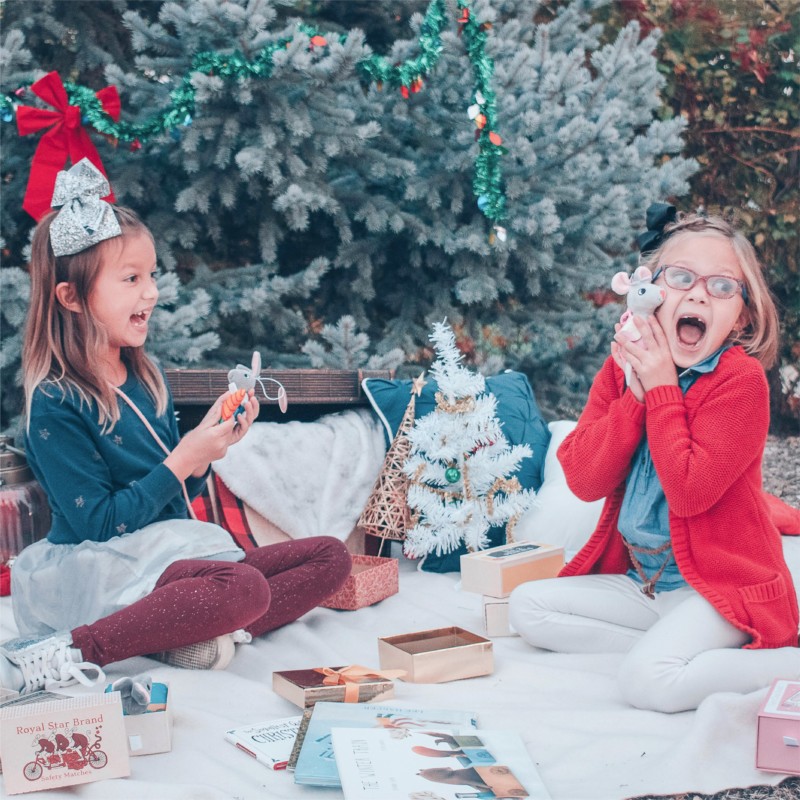 Foothill Toy Company Matchbox Mice & Friends Giveaway Emily Reviews