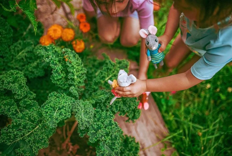 Foothill Toy Company Matchbox Mice & Friends Giveaway Emily Reviews