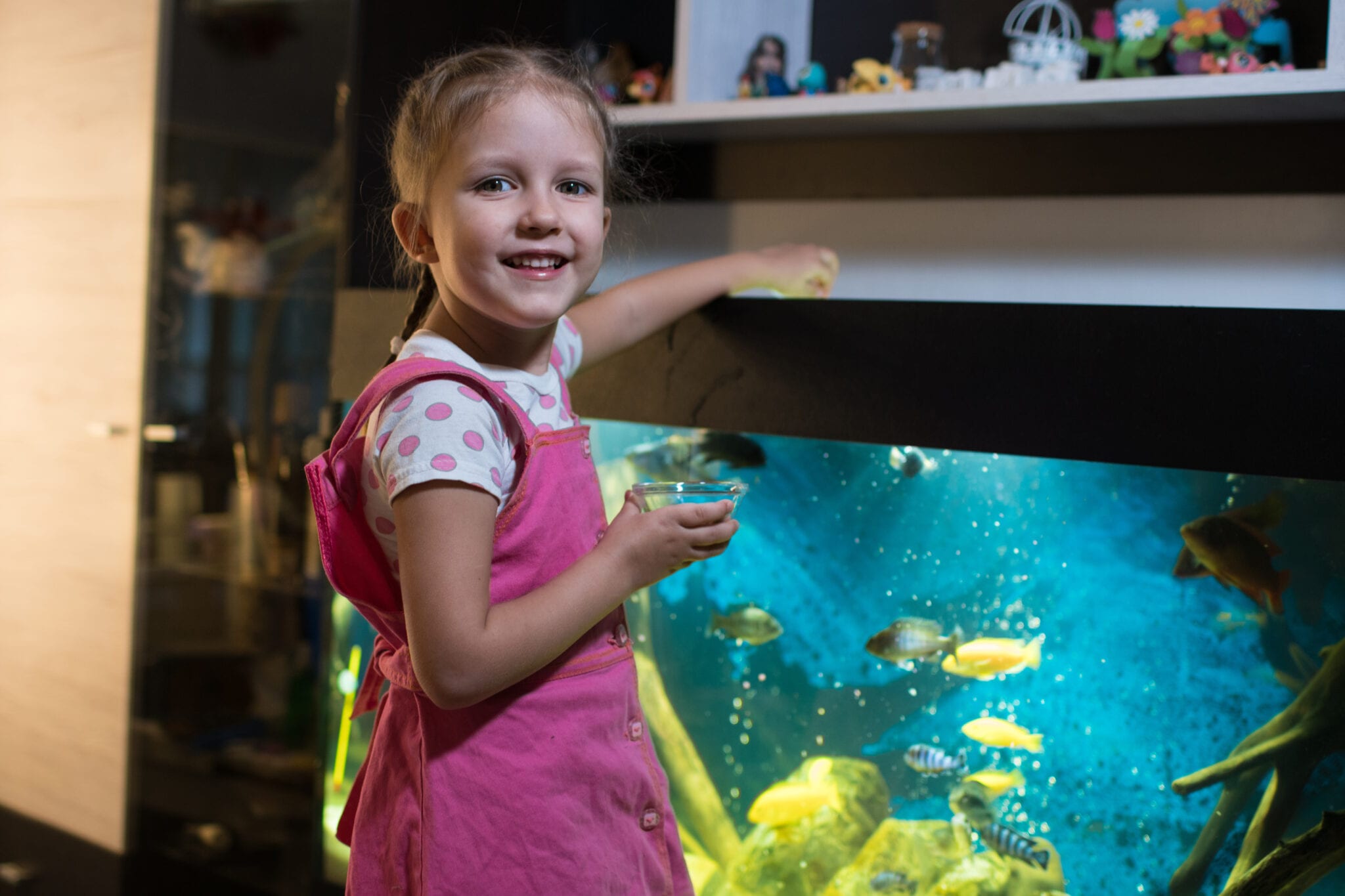 Top 6 Reasons Why Fish Are Good For The Home Emma and 3