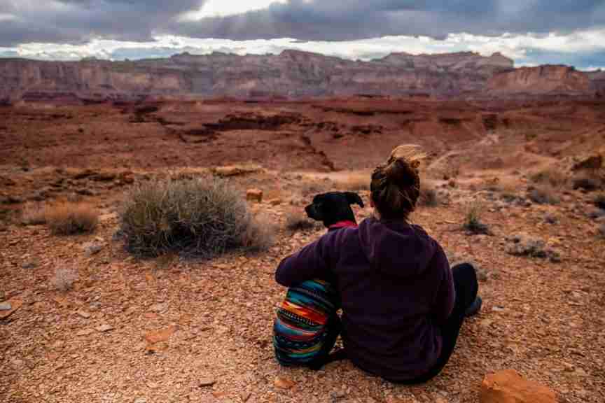 Traveling With an Emotional Support Dog How to Prepare?