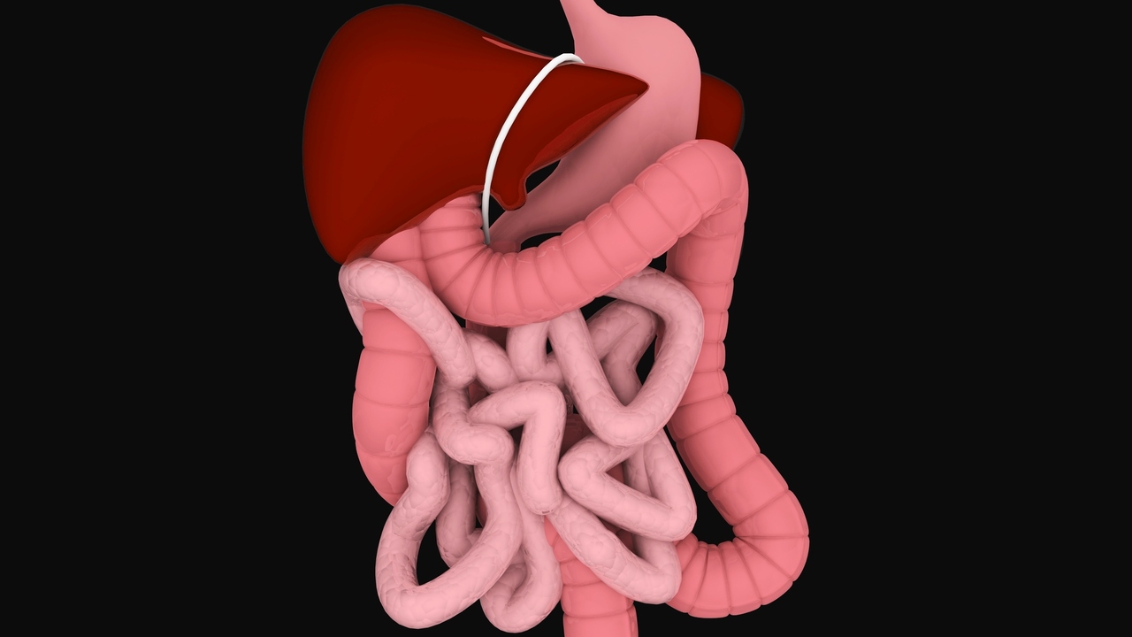 7 Organs That You Can Live Without EmpowHER Women's