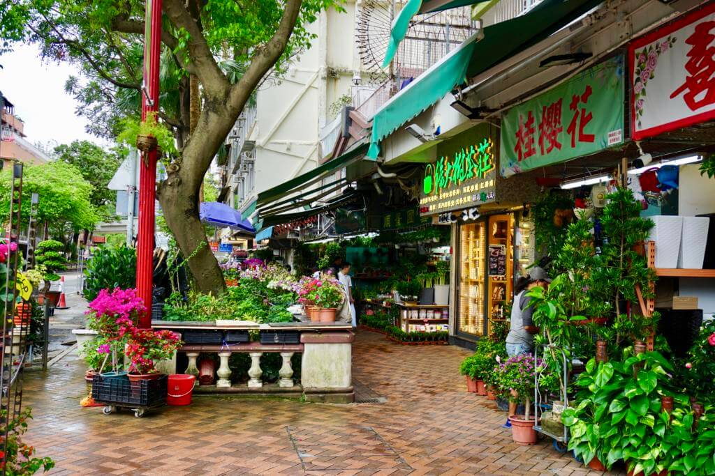 Hong Kong flower market Empty Nesters Hit the Road