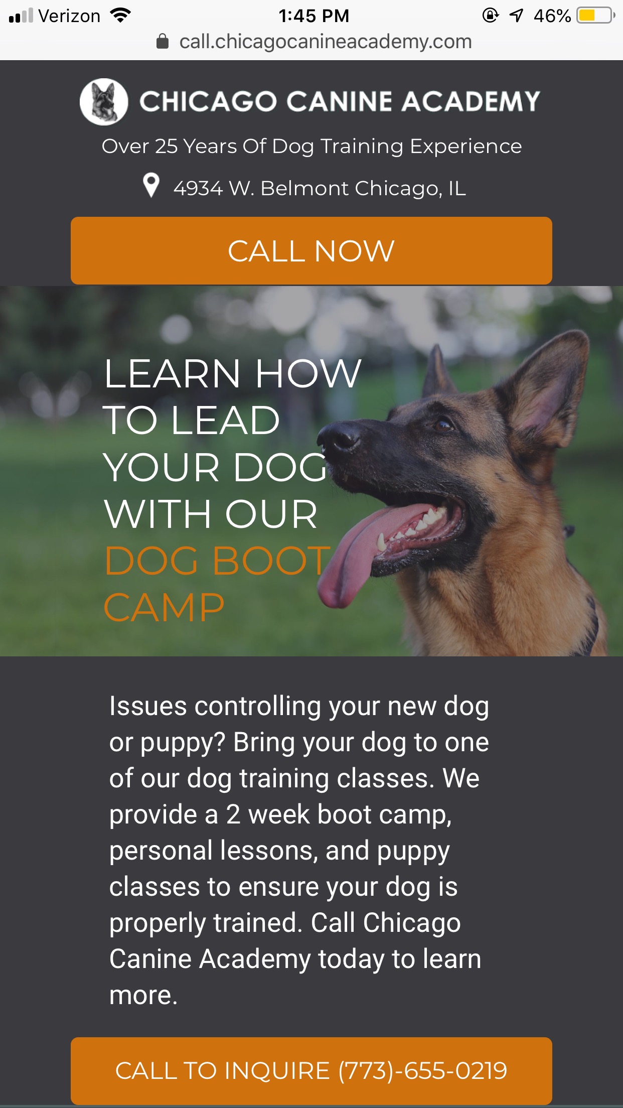 Chicago Canine Academy Case Study
