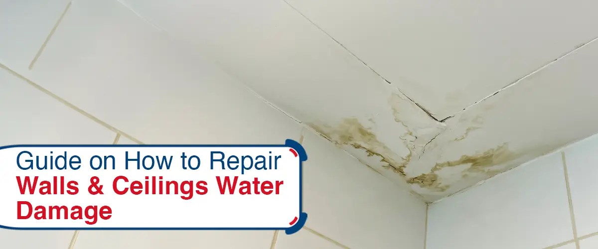 Guide on How to Repair Walls & Ceilings Water Damage Emergency