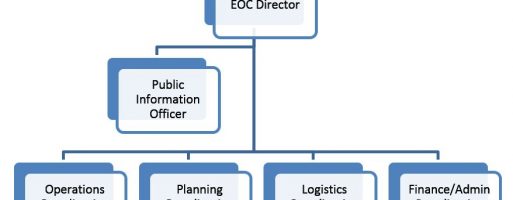 Ics-Like Eoc Structures – Emsi