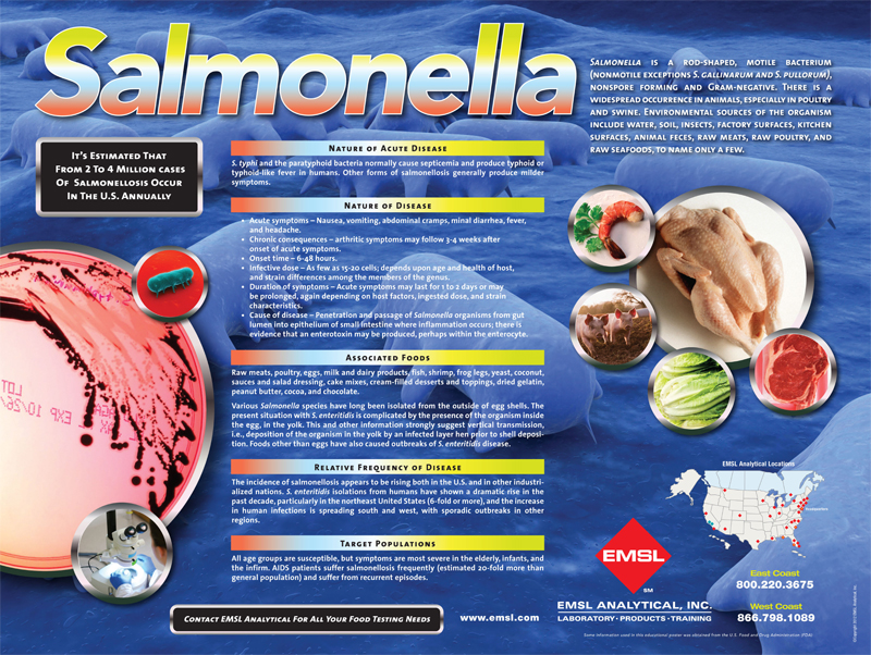 Free Salmonella Poster