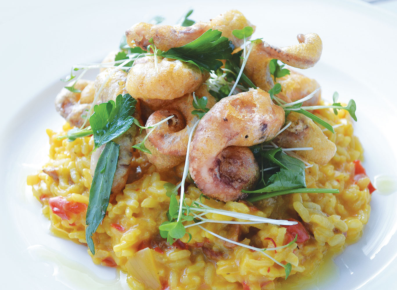 Saffron risotto with chilli octopus fritters The EnTwo