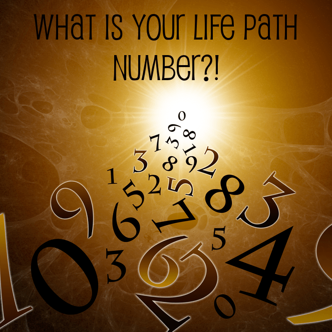 glynis mccants 2023 calendar Glynis McCants' Numerology & Life Path Number Meanings 1, 2, 3, 4
