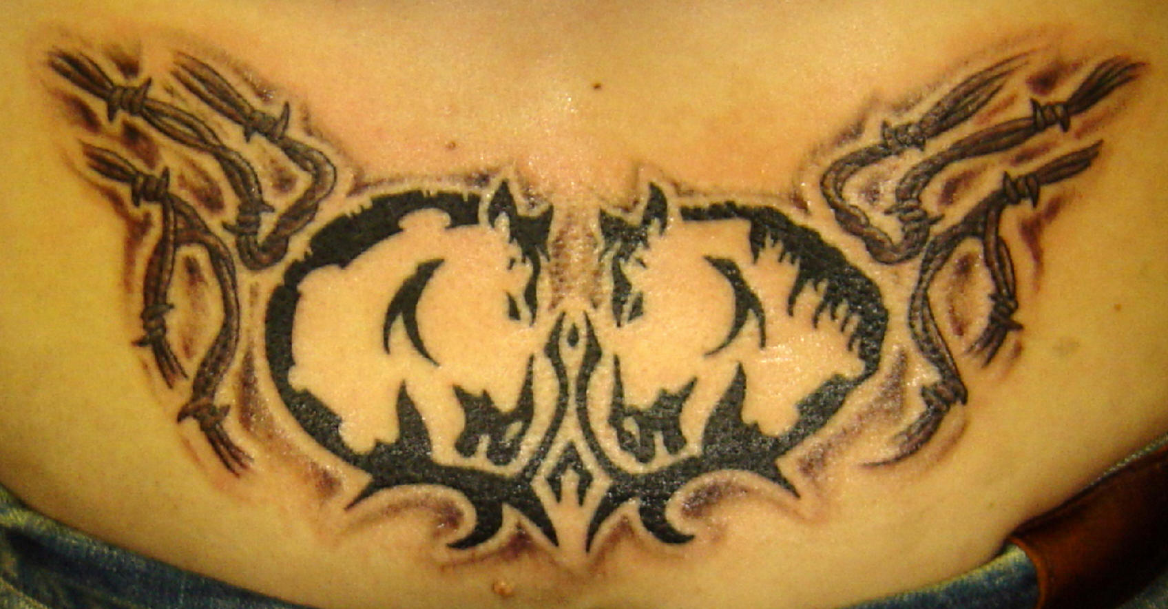 Enchanted Dragon Tattooing