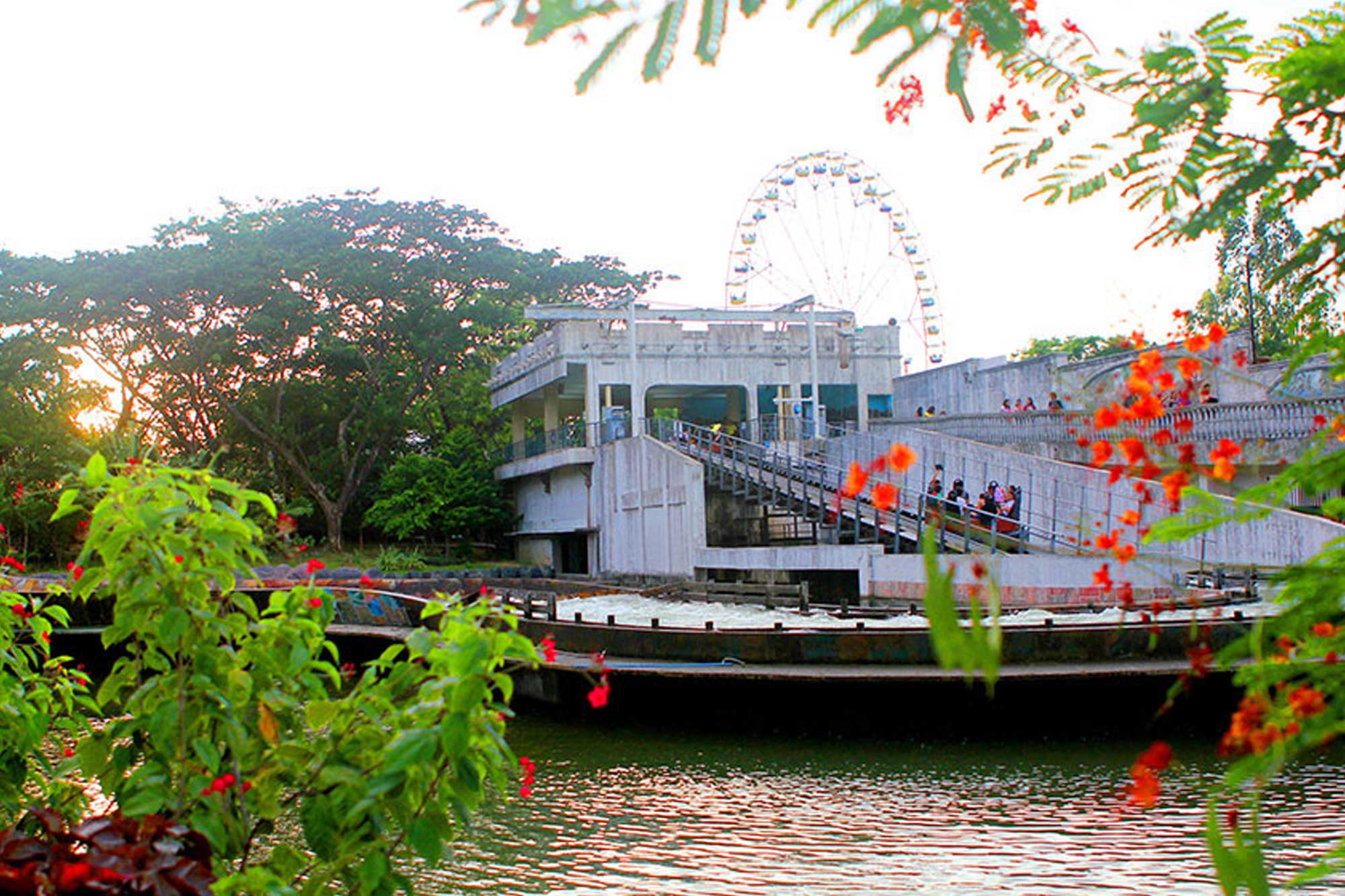 Horse Carriage Rides In Grand Rapids Mi at Edith McCaffrey blog