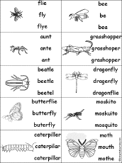 Spelling Worksheets: Insects at EnchantedLearning.com